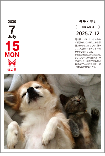 4色デザイン例2