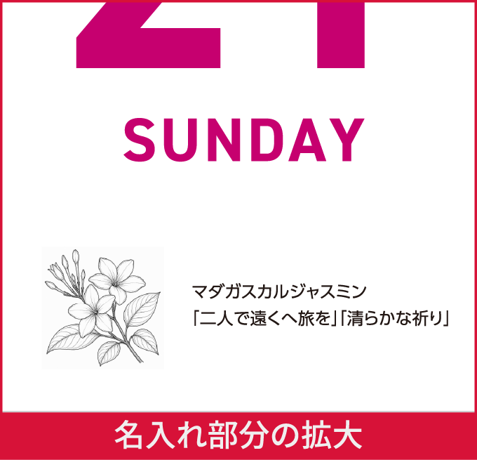 名入れ365の完成イメージ（名入れ部分の拡大）